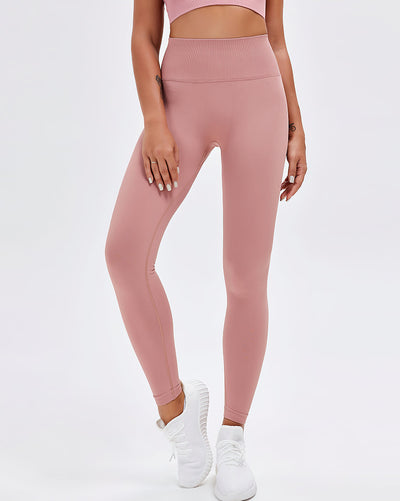 Sophia Seamless Leggings - Pink